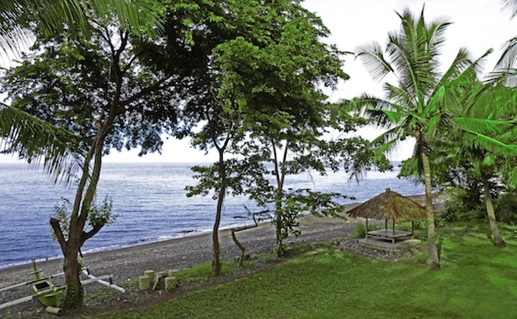 Bali Au Naturel (Adults Only) Tejakula Exteriér fotografie